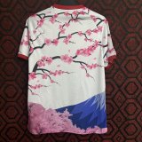 Japan Special Edition  Fans 1:1 Quality Soccer Jersey  24-25