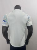 Inter Milan away fans  1:1 Quality Soccer Jersey   25-26