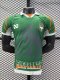 Ivory Coast Special Edition player  1:1 Quality Soccer Jersey   25-26
