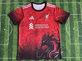 Liverpool Special Edition Fans 1:1 Quality Soccer Jersey   24-25
