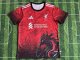 Liverpool Special Edition Fans 1:1 Quality Soccer Jersey   24-25