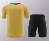 Barcelona Training clothing set  1:1 Quality Soccer Jersey    24-25