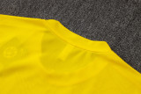 Dortmund  training  fans  1:1 Quality Soccer Jersey  24-25
