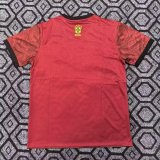 Brazil Special Edition Red Jordan Fans 1:1 Quality Soccer Jersey 25-26