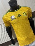 South Africa Home Fans 1:1 Quality Soccer Jersey 26-27 (2026)