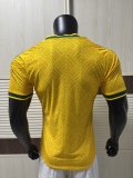 South Africa Home Fans 1:1 Quality Soccer Jersey 26-27 (2026)