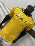 South Africa Home Fans 1:1 Quality Soccer Jersey 26-27 (2026)
