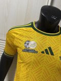 South Africa Home Fans 1:1 Quality Soccer Jersey 26-27 (2026)