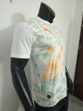 Côte d'Ivoire  Away Player 1:1 Quality Soccer Jersey 26-27 (2026)