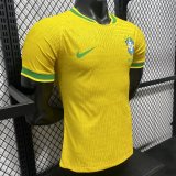 Brazil Special Edition  player 1:1 Quality Soccer Jersey  26-27 (2026)