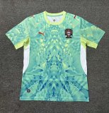 Portugal  Goalkeeper  Fans green  1:1 Quality Soccer Jersey  26-27  (2026)