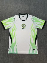 Nigeria Away Fans 1:1 Quality Soccer Jersey 26-27 (2026)