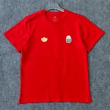 Argentina T-shirt  White Green  Grey  Black Red Yellow 1:1 Quality Soccer Jersey 26-27 (2026)