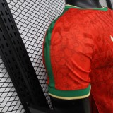 Portugal  Special Edition Player 1:1 Quality Soccer Jersey   26-27  (2026)
