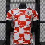 Croatia Special Edition Player 1:1 Quality Soccer Jersey   26-27（2026）
