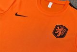 Netherlands Training Orange With Pants Sets (16-2XL) 1:1 Quality Soccer Jersey  26-27（2026）