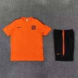 Netherlands Training Orange With Pants Sets (16-2XL) 1:1 Quality Soccer Jersey  26-27（2026）