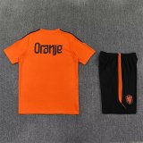 Netherlands Training Orange With Pants Sets (16-2XL) 1:1 Quality Soccer Jersey  26-27（2026）