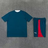 Portugal  Training  Fans Sets Green (Kids And Man 16-2XL) 1:1 Quality Soccer Jersey 26-27 (2026)