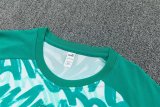 Portugal  Training  Fans Sets Green White (Kids And Man 16-2XL) 1:1 Quality Soccer Jersey 26-27 (2026)