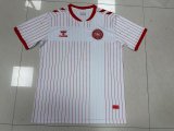 Denmark Home Fans 1:1 Quality Soccer Jersey   26-27 (2026)
