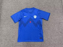 Slovenia Home Fans 1:1 Quality Soccer Jersey   26-27 (2026)