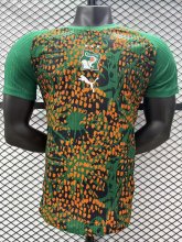 Ivory Coast Special Edition Player  1:1 Quality Soccer Jersey 26-27 (2026)
