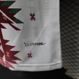 Mexico Special Edition Player 1:1 Quality Soccer Jersey   26-27 (2026)