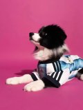 Argentina Home Dog pet  Fans 1:1 Quality Soccer Jersey 26-27（2026）