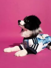 Argentina Home Dog pet  Fans 1:1 Quality Soccer Jersey 26-27（2026）
