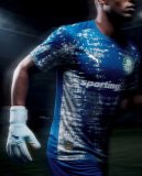 Palmeiras Goalkeeper Fans 1:1 Quality Soccer Jersey   26-27 (有广告)
