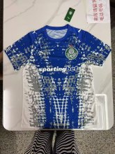 Palmeiras Goalkeeper Fans 1:1 Quality Soccer Jersey   26-27 (有广告)