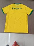 Palmeiras Third  Away Fans 1:1 Quality Soccer Jersey   26-27 (有广告)
