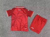Haiti Third Away Kids  Fans 1:1 Quality Soccer Jersey  26-27 (2026)