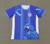 Brazil Special Edition Fans Blue 1:1 Quality Soccer Jersey  26-27 (2026)