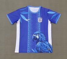Brazil Special Edition Fans Blue 1:1 Quality Soccer Jersey  26-27 (2026)