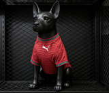Portugal  Home Dog pet  Fans 1:1 Quality Soccer Jersey 26-27（2026）