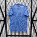 Haiti Goalkeeper   Fans 1:1 Quality Soccer Jersey  26-27 (2026)