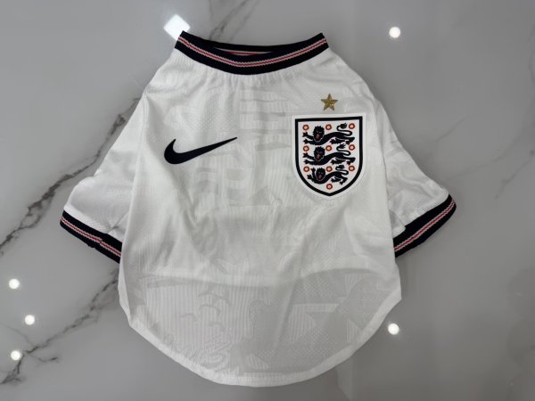 England  Home  Dog pet  Player 1:1 Quality Soccer Jersey  26-27 (2026)