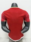 Iran Away Player  1:1 Quality Soccer Jersey  26-27 (2026)