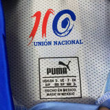 Chivas 110th Anniversary Edition Retro Fans Soccer Jersey