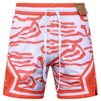 C2520 Jordan Casual Short Pants 虎纹橙
