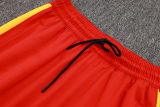 2025/26 Eagles Red Hoody Zipper Jacket Tracksuit