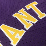 Lakers BRYANT #8 Retro Purple NBA Girl Jersey