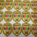 CAMPEON LIGA MX A21 Patch 墨西哥A21章  (You can buy it OR tell us which jersey to print it on. )