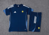 2025/26 Al Nassr Baby Blue Training Jersey(A Set)