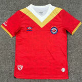 2025/26 Argentinos Juniors Third Fans Soccer Jersey 阿根廷青年人