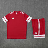 2025/26 AD Red Training Jersey(A Set)
