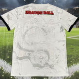 2025/26 Japan Special Edition Fans Jersey