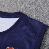 2025 BA Sapphire Blue Vest Training Jersey(A Set)